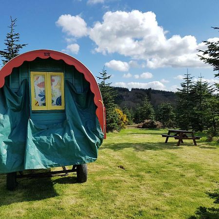 Clissmann Horse Caravans Glamping Rathdrum Buitenkant foto