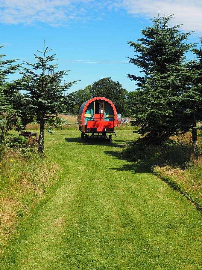 Clissmann Horse Caravans Glamping Rathdrum Buitenkant foto