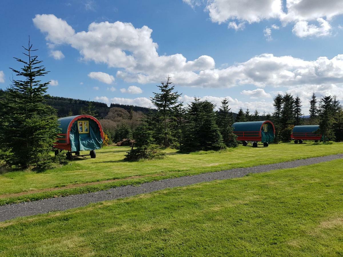 Clissmann Horse Caravans Glamping Rathdrum Buitenkant foto