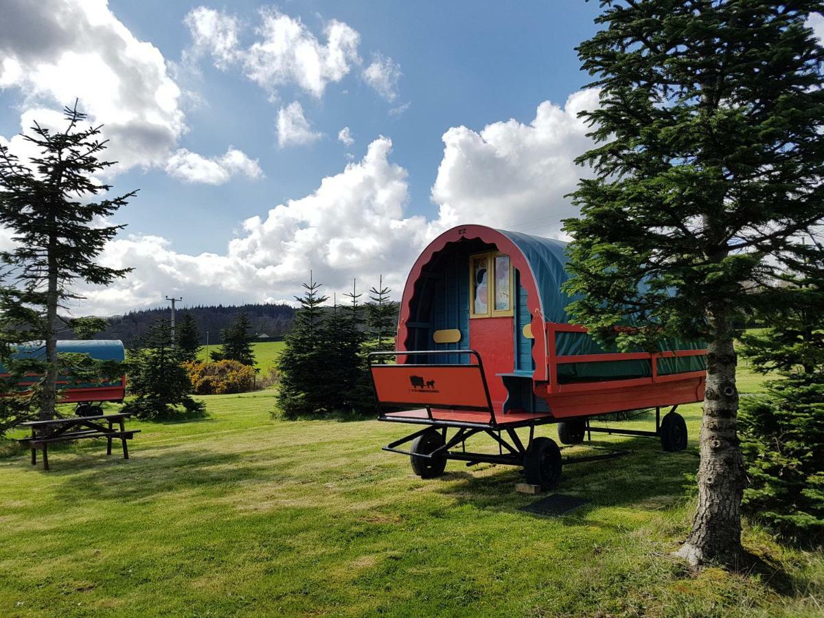 Clissmann Horse Caravans Glamping Rathdrum Buitenkant foto
