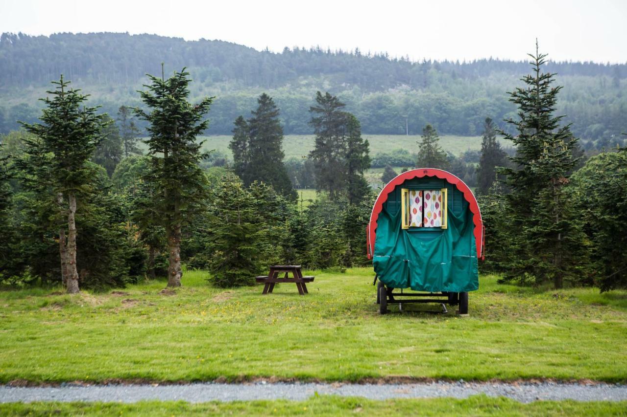 Clissmann Horse Caravans Glamping Rathdrum Buitenkant foto