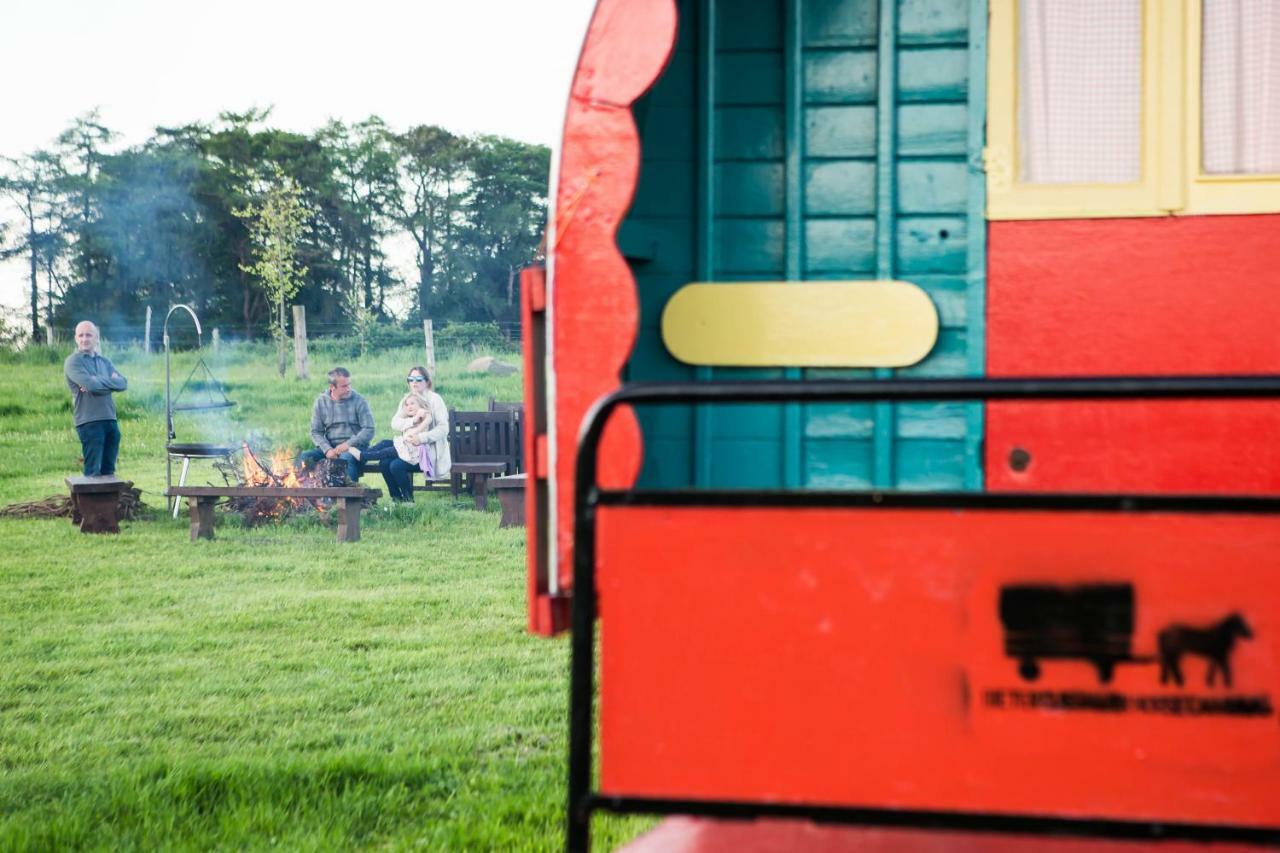 Clissmann Horse Caravans Glamping Rathdrum Buitenkant foto