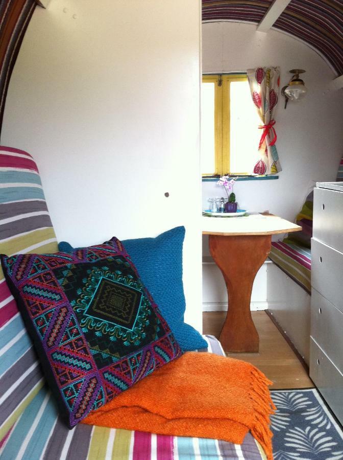 Clissmann Horse Caravans Glamping Rathdrum Buitenkant foto