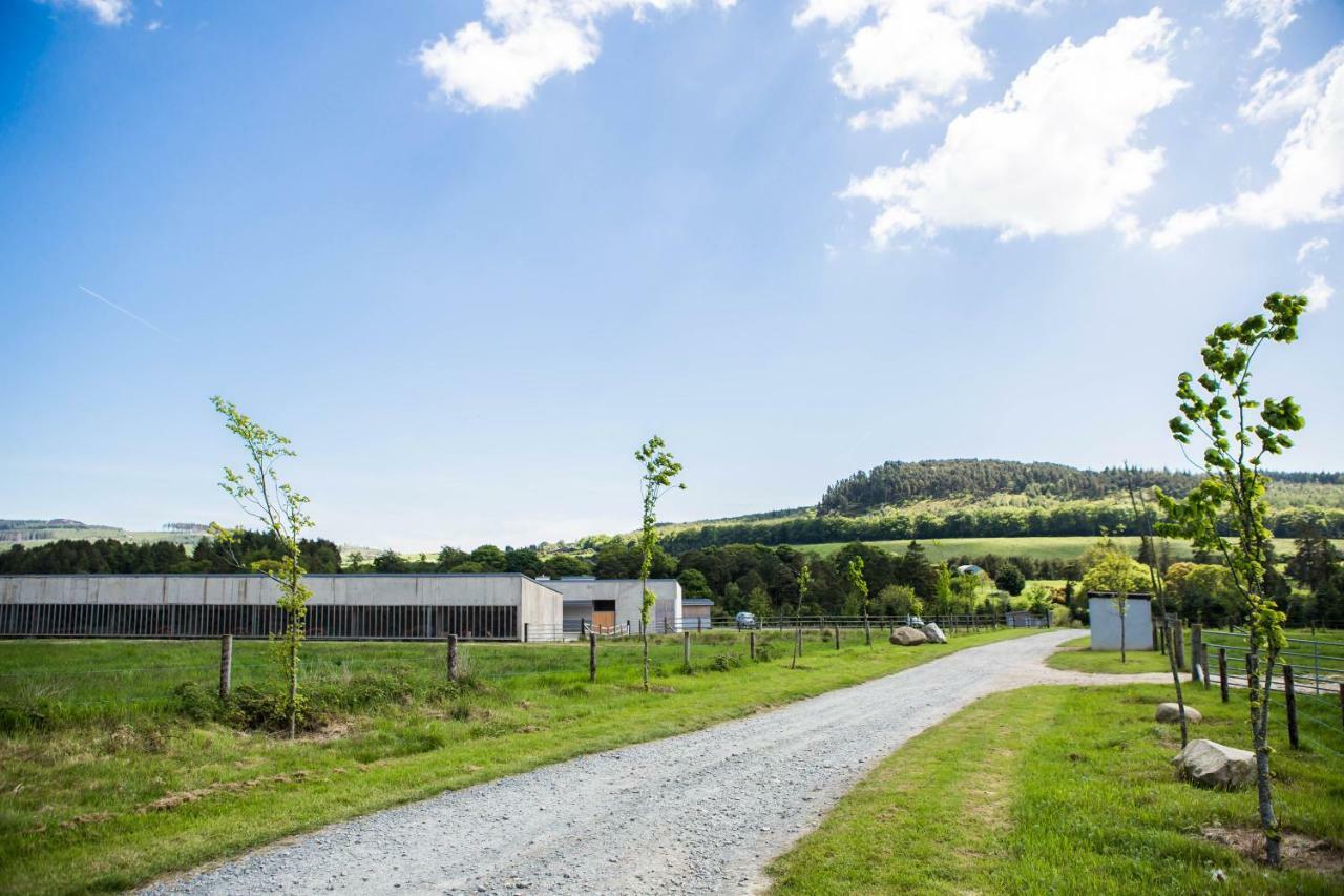 Clissmann Horse Caravans Glamping Rathdrum Buitenkant foto
